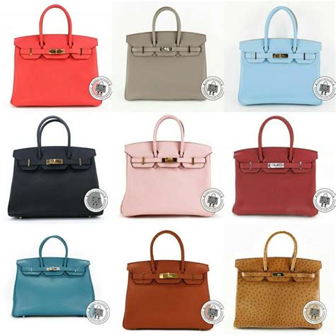 hermes iconic bag